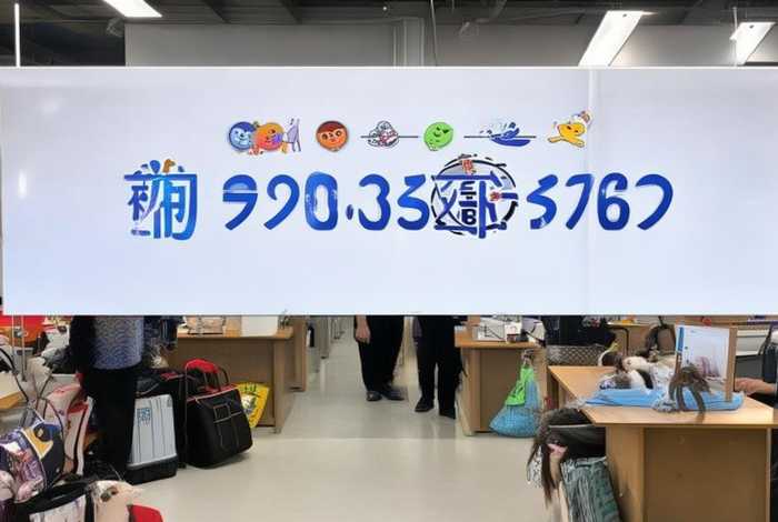 顺丰宠物托运 顺丰宠物托运平台电话号码