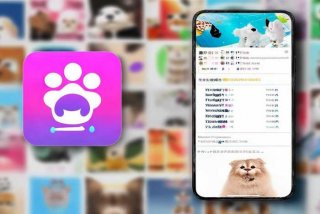 宠物连连看3.0版下载 宠物连连看3.0版下载苹果