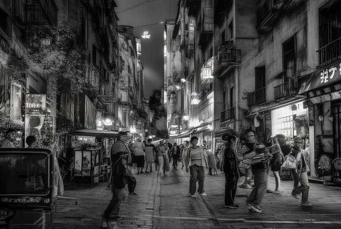 石家庄宠物市场批发价猫狗（石家庄宠物市场批发价猫狗多少钱）