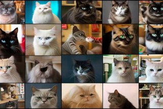 宠物猫有哪些品种及名称图片，宠物猫有哪些品种及名称图片大全