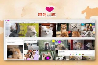 宠物吧论坛网页版入口（宠物吧论坛网页版入口官网）