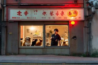 重庆宠物医院哪个靠谱（重庆宠物医院哪家最好）