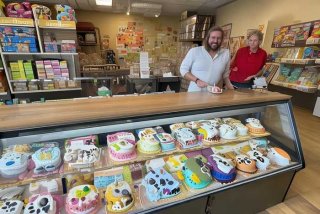 宠物蛋糕哪里能买到（宠物蛋糕哪里能买到呢）