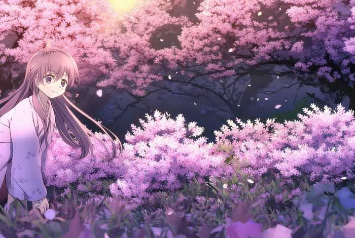 樱花庄的宠物女孩第二季在线观看 樱花庄的宠物女孩第二季在线观看免费动漫 樱花庄的宠物女孩第二季在线观看 樱花庄的宠物女孩第二季在线观看免费动漫