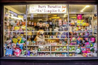 宠儿宠物用品店；宠儿宠物用品有限公司