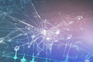 人际关系网查询 - 人际关系网查询网站