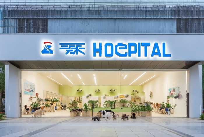 重庆宠物医院连锁店排名、重庆宠物医院连锁店排名榜