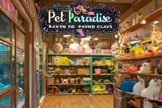 宠物店铺名字大全10000个（宠物店起名大全2018款）