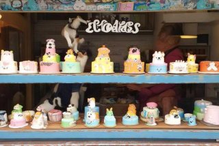 宠物蛋糕有市场吗（宠物蛋糕有市场吗多少钱）