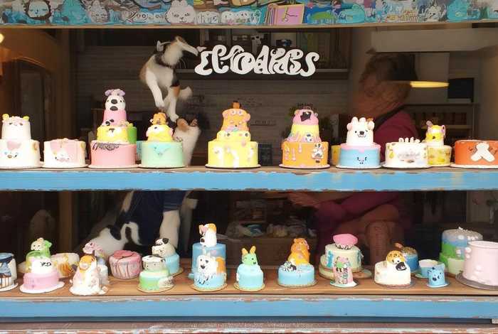 宠物蛋糕有市场吗（宠物蛋糕有市场吗多少钱）