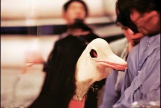 搞好人际关系的方法作文 搞好人际关系的方法作文怎么写