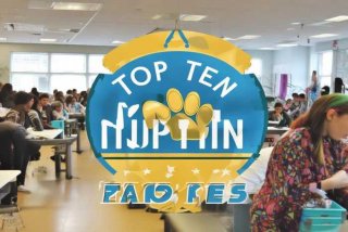 宠物美容学校排名前十 宠物美容学校排名前十名