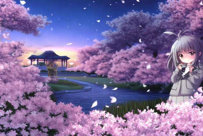 樱花庄的宠物女孩第二季九九影视（樱花庄的宠物女孩第二季九九影视在线观看）