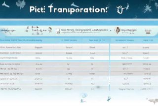 宠物空运托运费价目表、宠物空运托运费价目表最新