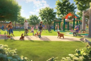 宠物公园在哪里 - 宠物公园是做什么的