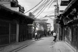 宠物美容师培训学校乌鲁木齐 宠物美容师培训学校乌鲁木齐有没有