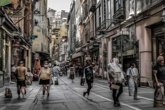 石家庄宠物市场仓鼠、石家庄仓鼠宠物医院