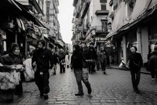 南宁宠物狗出售；南宁宠物狗出售信息