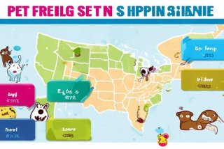 宠物托运费用查询哪家比较好，宠物托运哪家比较便宜