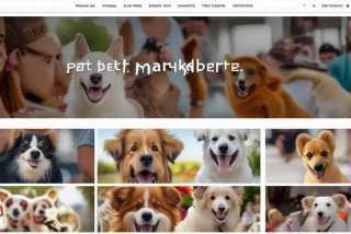 宠物狗网站哪个好 - 宠物狗网站哪个好用