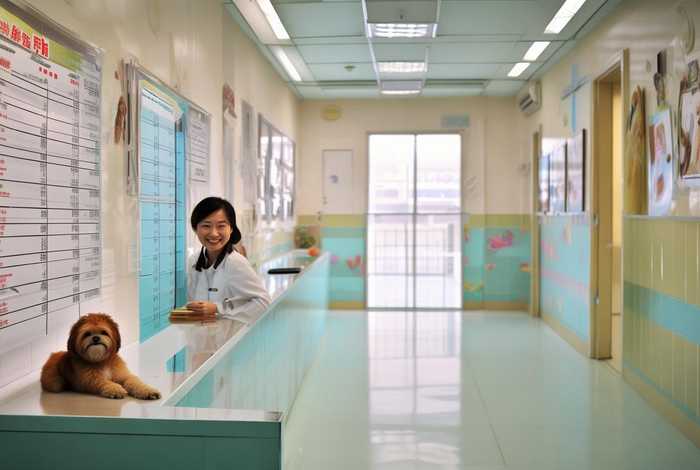 宠物医院收费价目表武汉 - 武汉哪个宠物医院收费便宜 宠物医院收费价目表武汉 - 武汉哪个宠物医院收费便宜