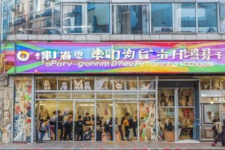 成都宠物美容培训学校排名 成都宠物美容培训学校排名前十