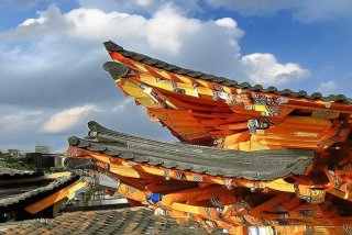 宠物托运公司全国（全国宠物托运公司哪家好）