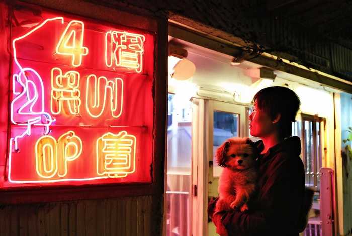 成都宠物医院24小时营业（成都宠物医院24小时营业吗）