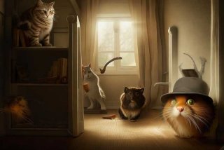 宠物的秘密 宠物的秘密生活纪录片