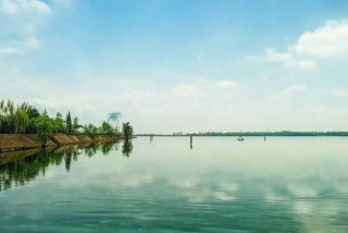 青岛一小区物业张贴禁养宠物告示、青岛一小区禁止全体业主饲养宠物-发现或将强行带离