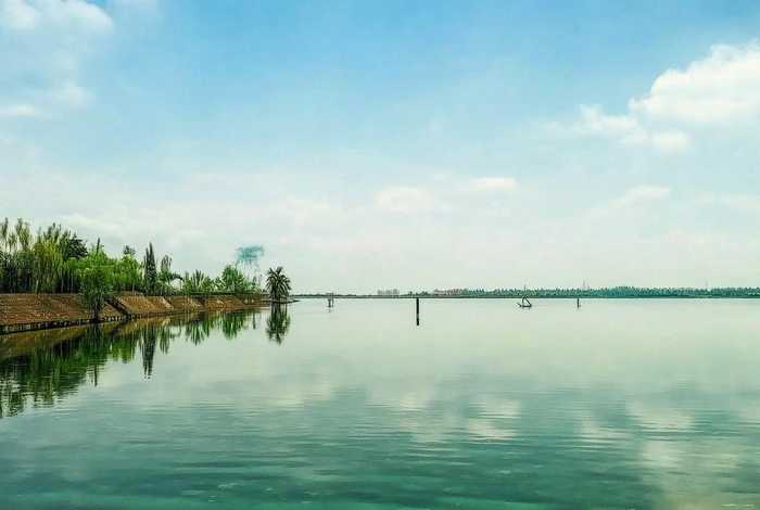 青岛一小区物业张贴禁养宠物告示、青岛一小区禁止全体业主饲养宠物-发现或将强行带离