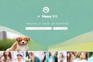 宠物医院网站 宠物医院网站策划方案分析与设计