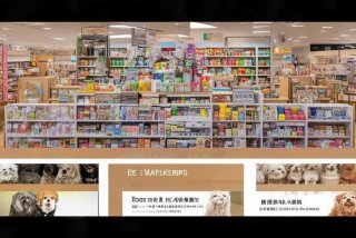 宠物用品一件代发网站 - 宠物用品一件代发网站有哪些