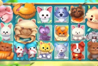 宠物连连看(免费版)（宠物连连看(免费版)最新版本）