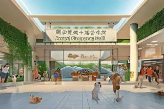 南宁宠物友好商场，南宁宠物友好商场地址