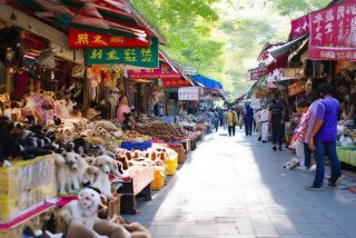 石家庄宠物市场在哪里 石家庄宠物市场在哪里啊
