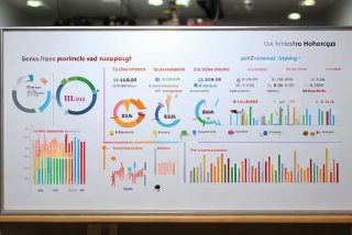 医院宠物医院收费标准，医院宠物医院收费标准文件
