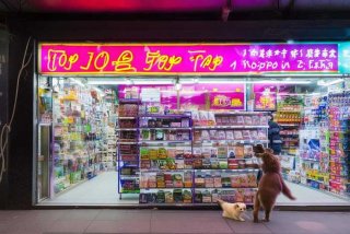 上海宠物店加盟排行；上海宠物店加盟排行榜前十名