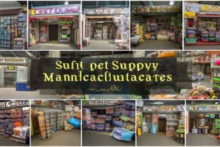 宠物用品厂家 - 宠物用品厂家哪个城市最多