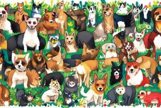 宠物狗种类大全及名称；宠物狗种类大全及名称图片