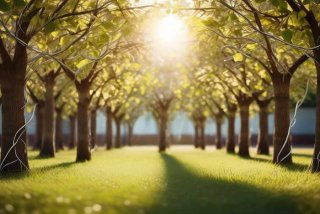 怎么处理好人际关系的技巧；怎么处理好人际关系的技巧有哪些