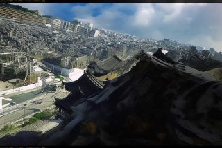 宠物图片大全高清图 宠物图片大全高清图片可爱