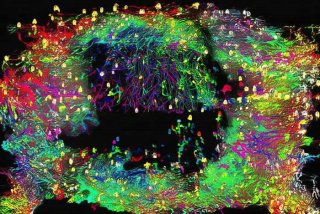 我的人际关系图、我的人际关系图谱