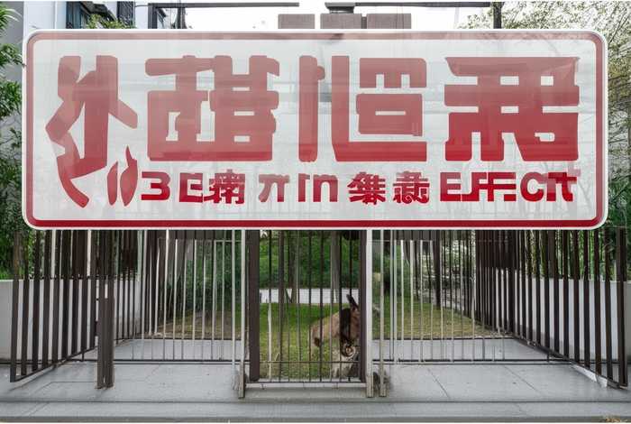 青岛一小区全面禁养宠物结局 青岛一小区全面禁养宠物 miui设置