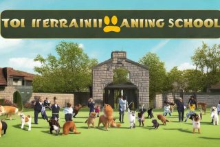 宠物培训学校排名；宠物培训学校排名前十
