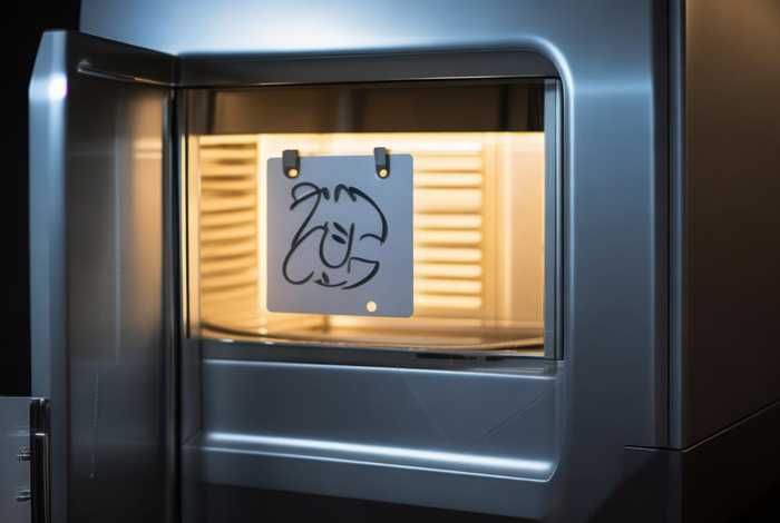 宠物火化炉多少钱一台、宠物火化炉多少钱一台合适