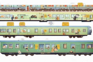 火车托运宠物流程（火车托运宠物流程图）