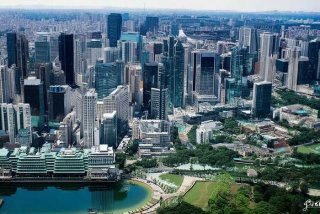 宠物狗的名字怎么取的好听 - 宠物狗的名字怎么取的好听点