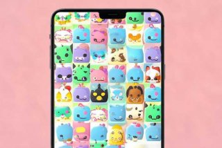 宠物连连看2.5版小游戏，宠物连连看2.5版小游戏视频