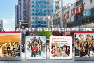 北京宠物网站设计，北京宠物网站设计招聘